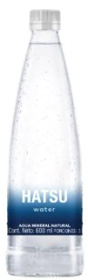 Botella Agua Mineral x 500ml