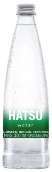 Botella Agua Mineral Gas 300ml